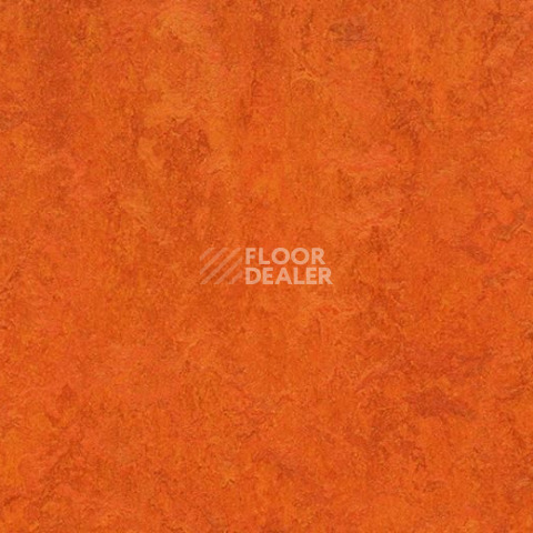 Линолеум Forbo Marmoleum Marbled Fresco 3126-312635 Kyoto фото 1 | FLOORDEALER